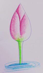 IMG-20210512-WA0002