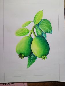 IMG20250703193113