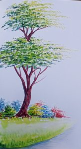 IMG_20220109_205054
